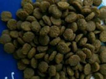 臨沂寵物食品公司品牌直銷與專業代加工服務解析——兼論西安寵物食品用品銷售市場