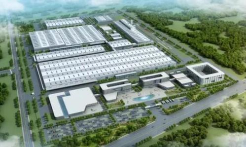 活力萊西 產業園區聯動與政務窗口齊轉，強化聯動提效率激活汽車銷售鏈