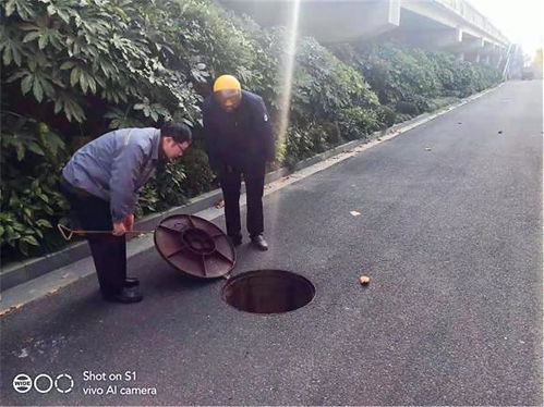 江蘇海安鳳山村 以系統(tǒng)思維全面推進(jìn)水污染治理，守護(hù)碧水清流