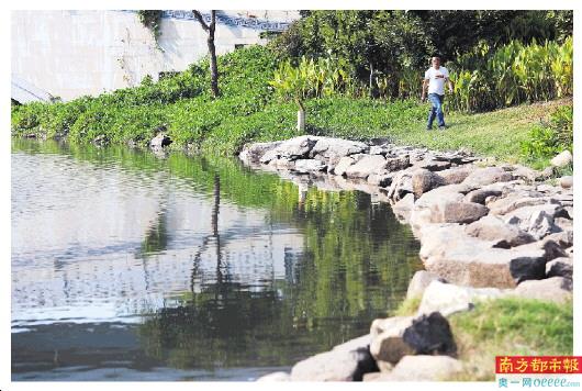 寶安治水攻堅顯成效 61條河流實現(xiàn)“零干河、零黑臭”，年末沖刺迎關(guān)鍵驗收